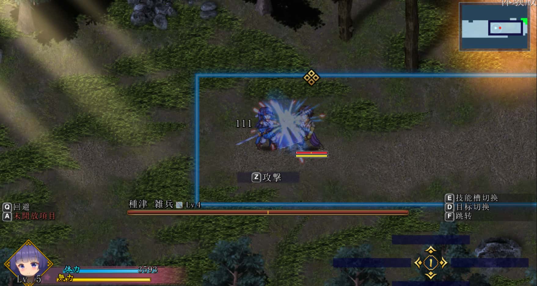 蓝华绚滥